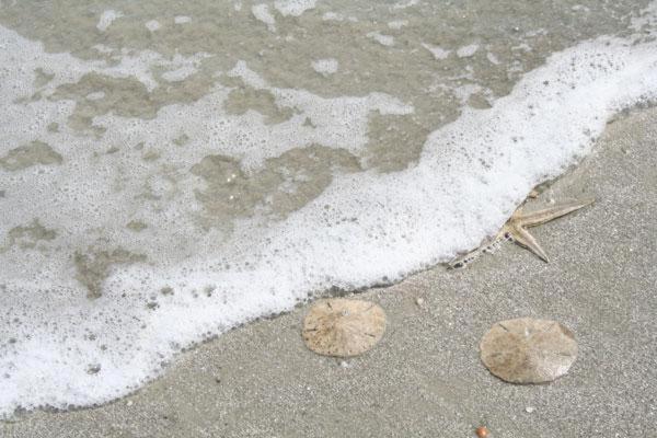 Kingston Cove 1 Βίλα Hilton Head Island Εξωτερικό φωτογραφία
